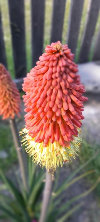 Alojamiento con desayuno, camping los ñires