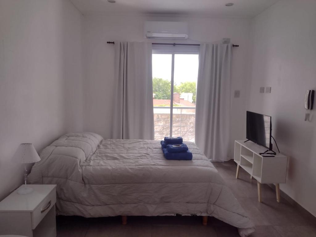 DTo CÉNTRICO LOBOS 2 E