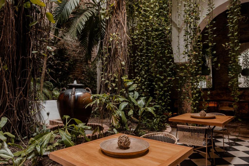 Zahrada ubytování Amarla Boutique Hotel Cartagena