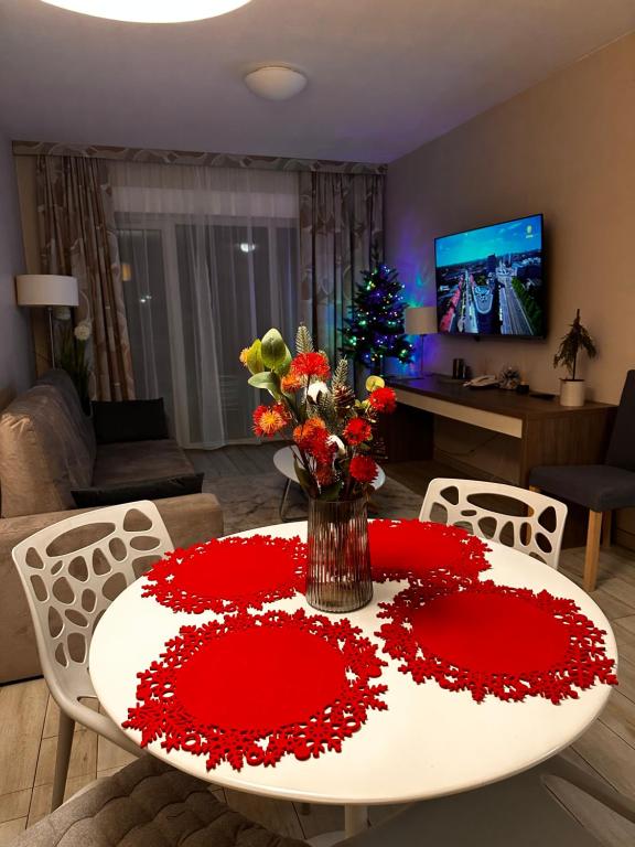 Μια τηλεόραση ή/και κέντρο ψυχαγωγίας στο Apartament Czarna Góra BORMIO 2