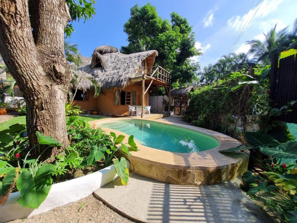 a house with a swimming pool and a tree at El Manguito in Sayulita