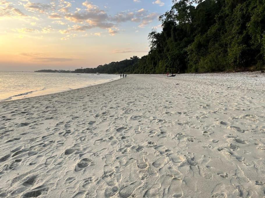 MaziziniにあるThe Cliff Beach Apartmentの砂浜