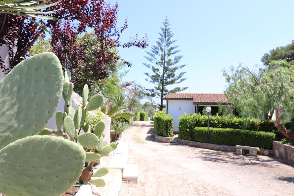 A garden outside Casa Cabernet Torre Santo Stefano