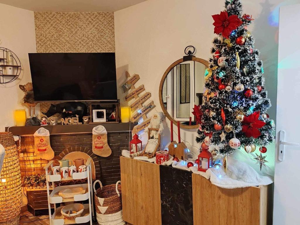 a living room with a christmas tree and a television at Chez Gwen et Marie in Bogny Sur Meuse