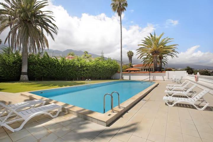 a swimming pool with white chairs and palm trees at House Experience Villa Violeta in La Victoria de Acentejo