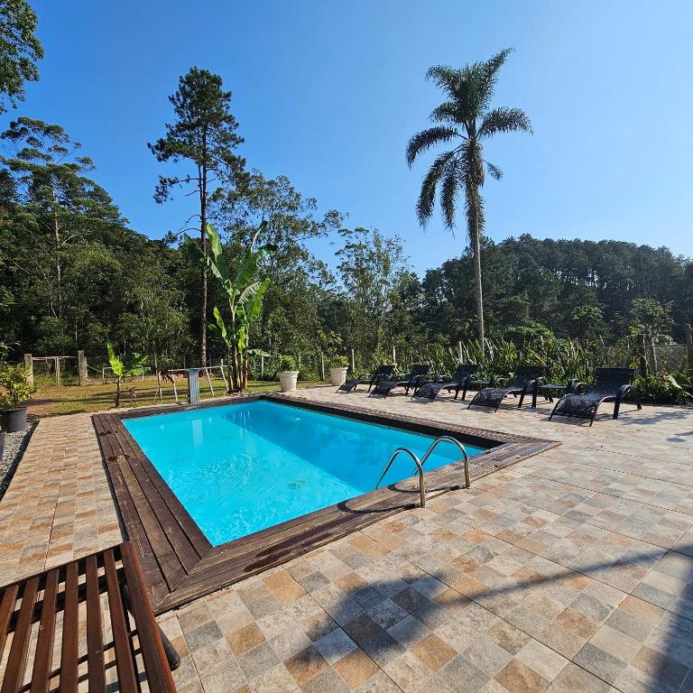 a swimming pool with chairs and a palm tree at Casa de campo em sítio de médio padrão com piscina aquecida e churrasqueira in Juquitiba