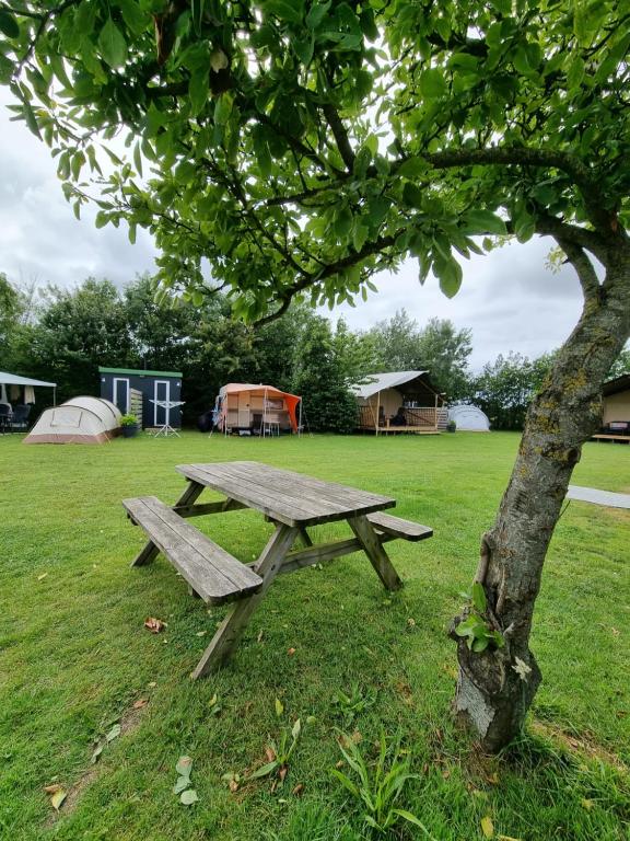una mesa de picnic en un campo junto a un árbol en Camping De Tulpenweide lege Kampeerplaats, lege plaats op het gras zonder bed, en Breezand