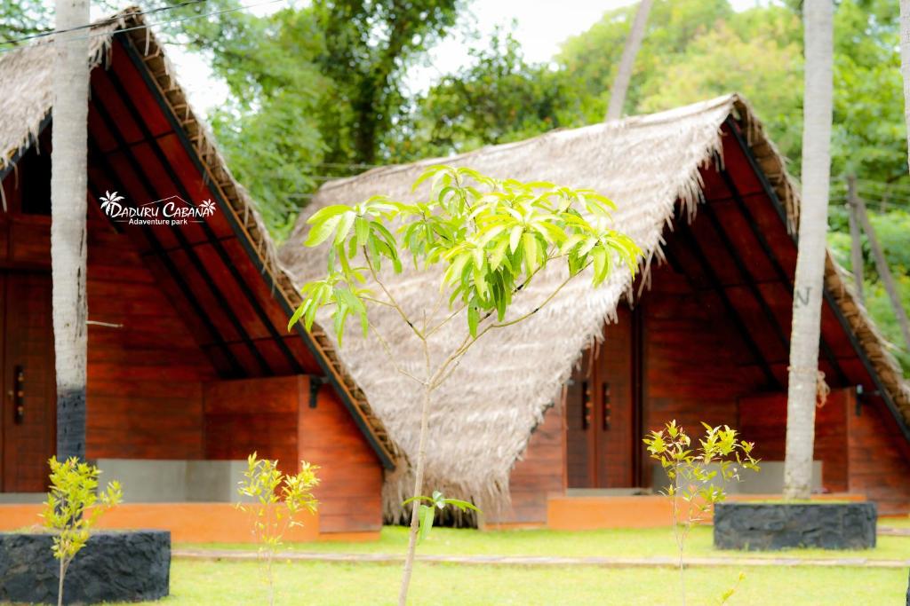 una casa con techo de paja y un árbol en Deduru Cabana Nature Resort, en Kurunegala