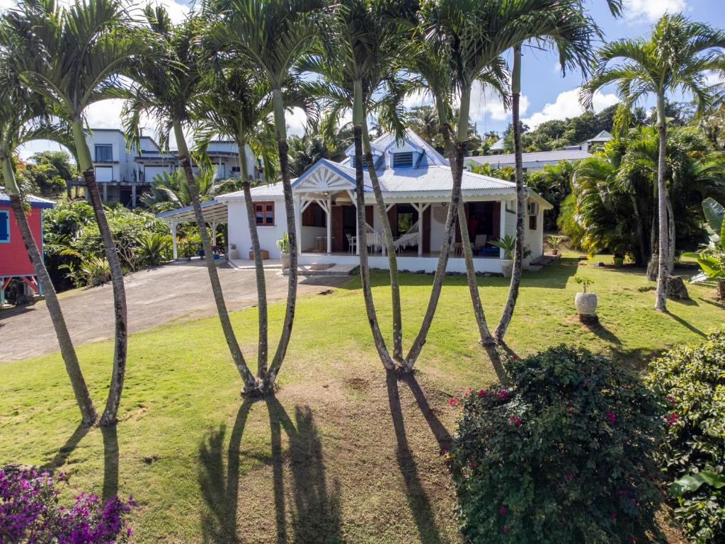 um grupo de palmeiras em frente a uma casa em Villa Créole Confortable avec vue sur lagon em Sainte-Rose