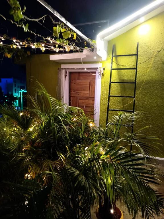 Zahrada ubytování Pravuprasad Homestay
