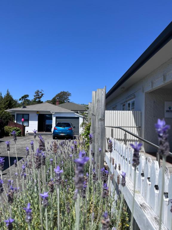a garden with purple flowers in front of a building at Stay with Benny in Nelson