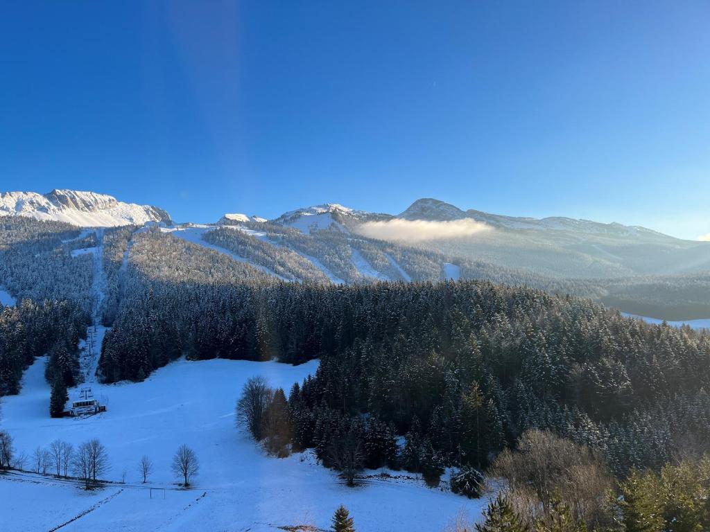 a view of a mountain range with snow and trees at Appartement Villard-de-Lans, 2 pièces, 6 personnes - FR-1-761-34 in Villard-de-Lans