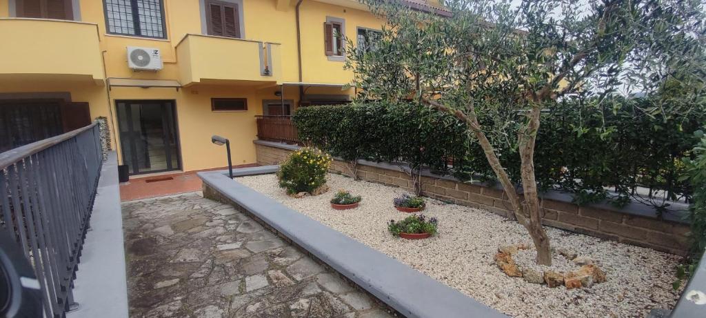 um edifício com uma árvore e plantas em frente em Civico 4 em Campagnano di Roma