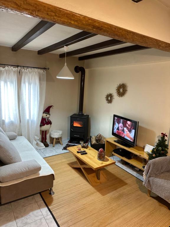 a living room with a couch and a wood stove at Elati Mansion in Elati