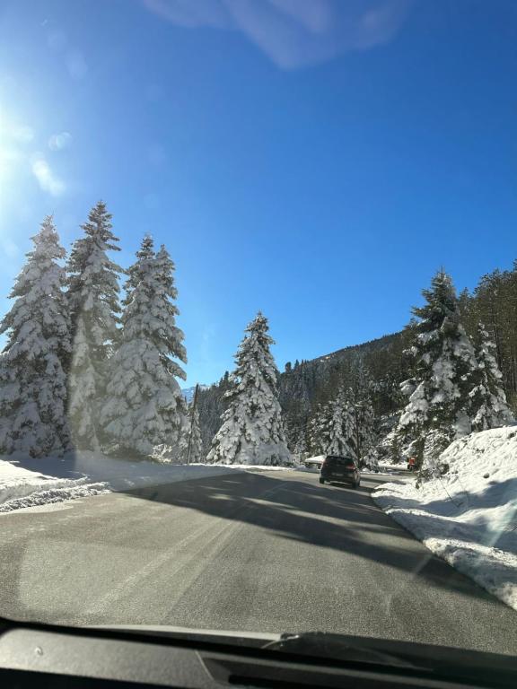 a car driving down a road with snow covered trees at Elati Mansion in Elati
