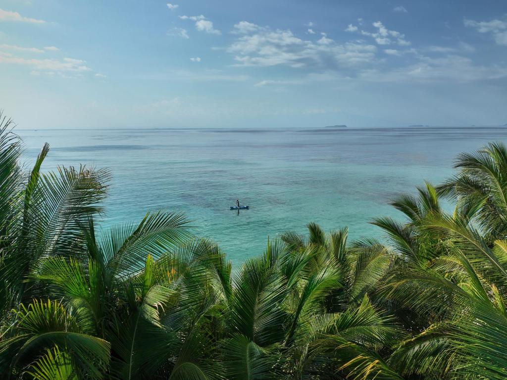 a plane in the ocean with palm trees at Myamo Beach Lodge in Jereweh