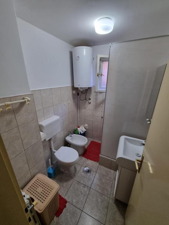 Baño pequeño con aseo y lavamanos en Apartman 13 en Petrovaradin