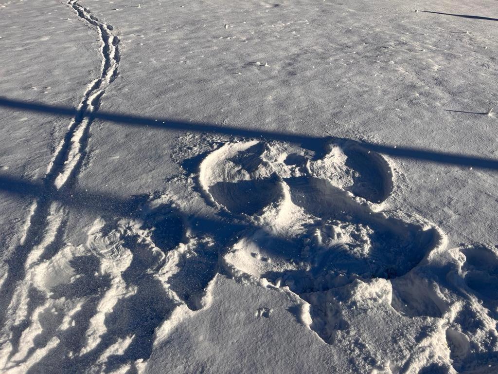 a pair of footprints in the snow at Sonja´s Ferienwohnung in Patergassen