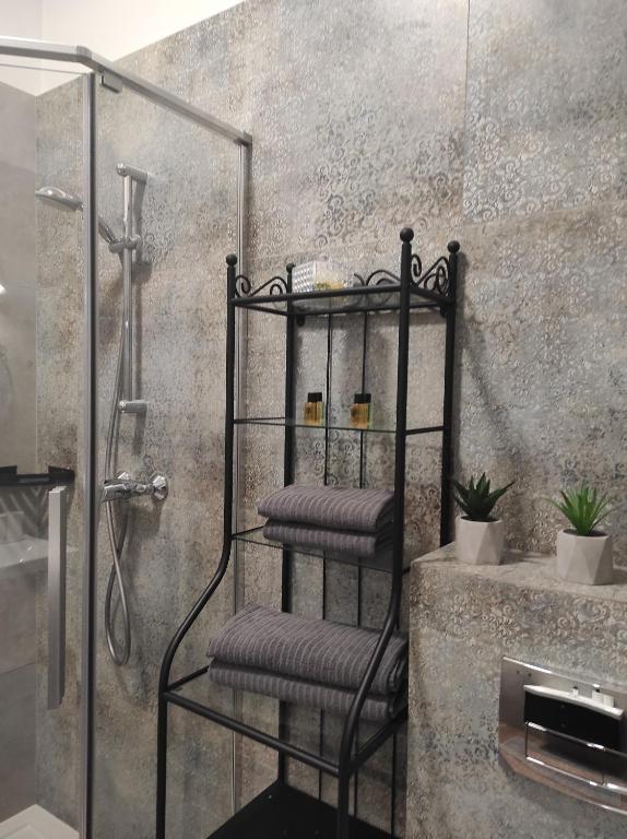 a black towel rack in a bathroom with a shower at Chabrowy - Apartamenty Smart Projekt in Tarnów