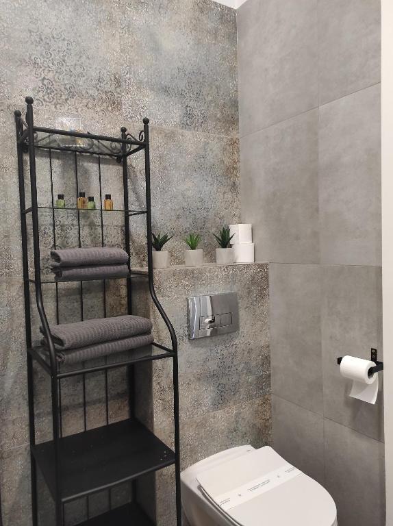 Kúpeľňa v ubytovaní Chabrowy - Apartamenty Smart Projekt