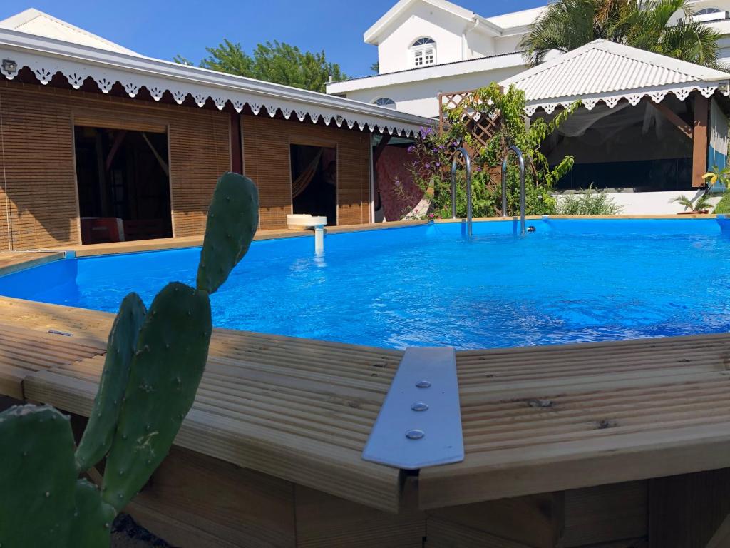 una piscina con una terraza de madera y un cactus en Les Frangipaniers de la Pelée en Saint-Pierre