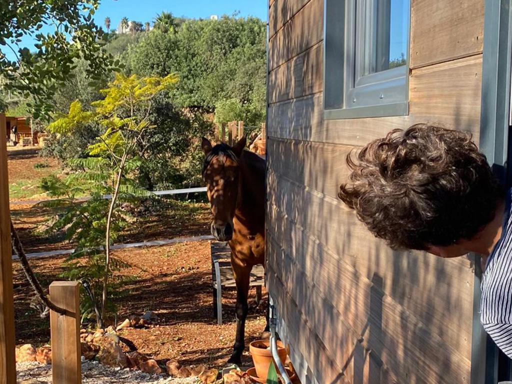 um homem a olhar para um cavalo ao lado de um edifício em Location Tiny House Loule em Loulé