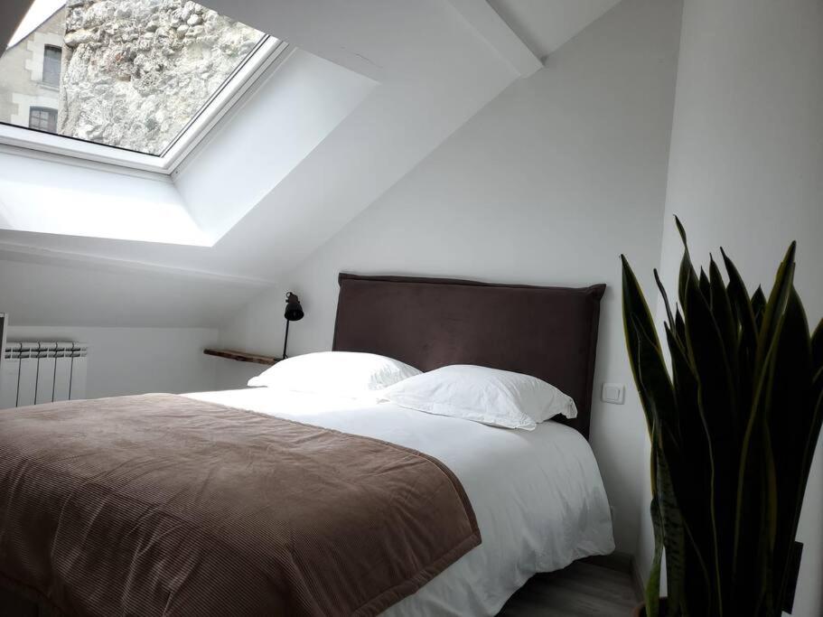 a bedroom with a large bed with a window at Dupplex, centre ville in Blois