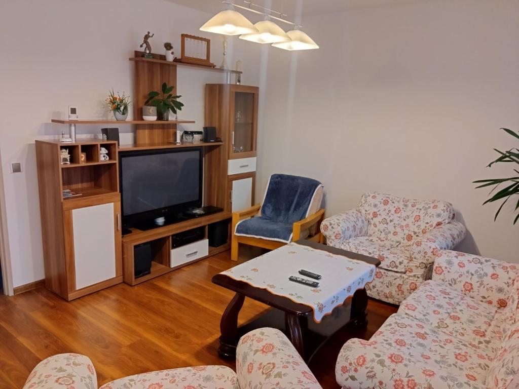 TV a/nebo společenská místnost v ubytování Apartmány u Martina