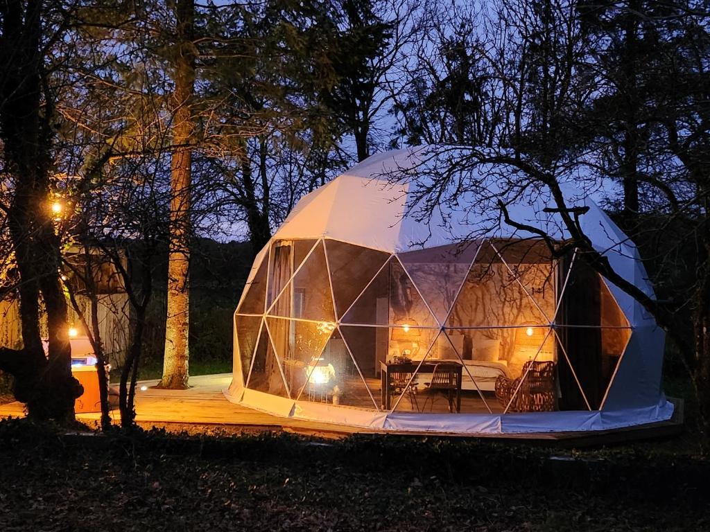 duży namiot iguany w parku w nocy w obiekcie Dôme magnifique avec spa 