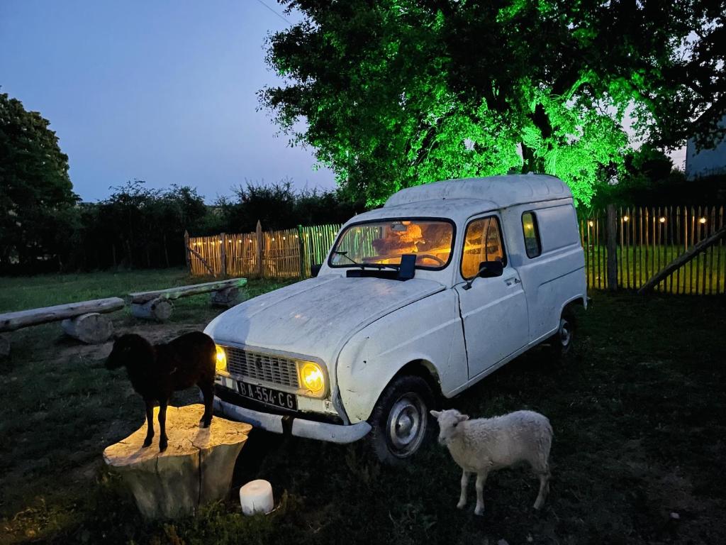 a dog and two sheep standing next to a white car at Gite du Moulin in Saint-Laurent-dʼAndenay