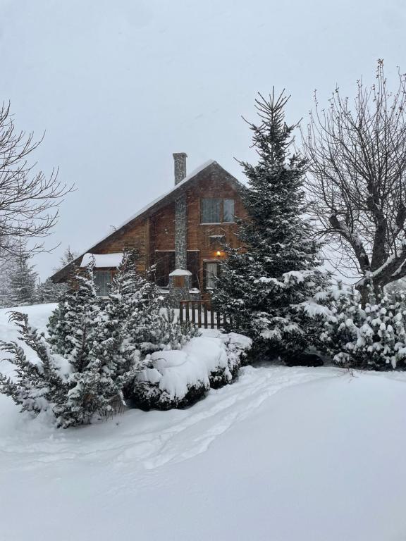 een huis met een kerstboom in de sneeuw bij Chalet Ro in Peştera