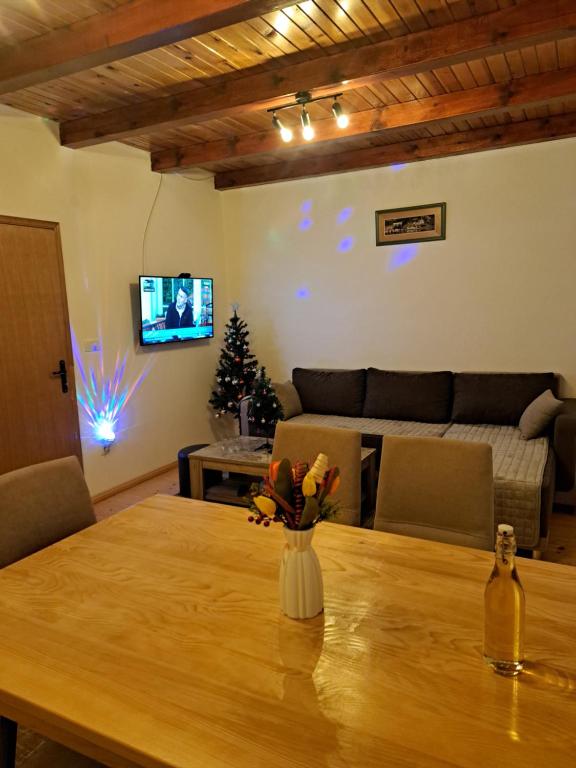 TV a/nebo společenská místnost v ubytování Mokrogorska kuca