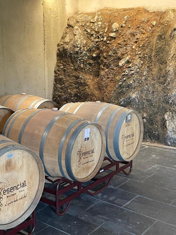 Fotografia z galérie ubytovania Boutique Finca esencial v destinácii Villafranca del Bierzo