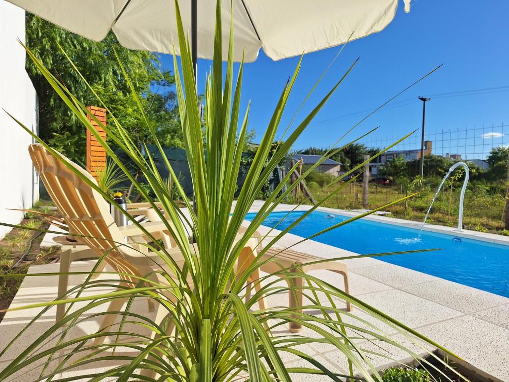 una planta frente a una piscina con sombrilla en Los Carpinchos: Duplex en Federación
