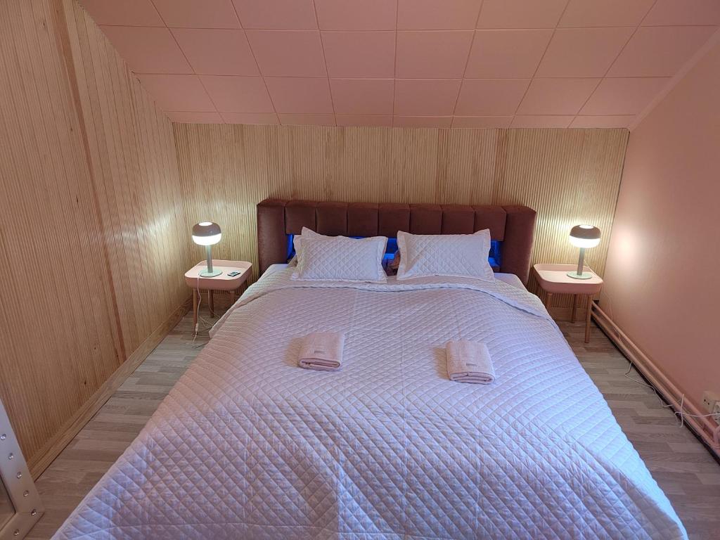 1 dormitorio con 1 cama grande y 2 lámparas en las mesas en 4B Stay - Best Budget Boutique Boardinghouse, en Helsinki