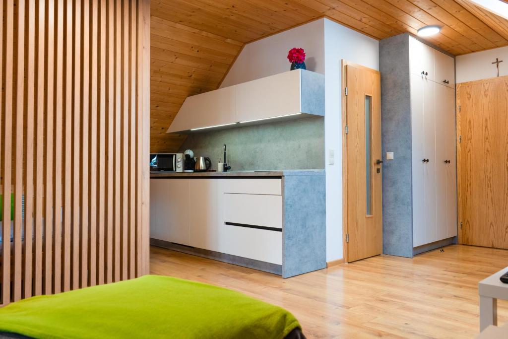 Kuchyň nebo kuchyňský kout v ubytování Apartmány Bobrík