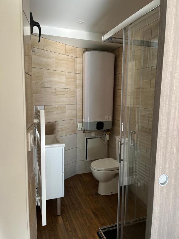 a bathroom with a toilet and a glass shower at Le Sailhet, maison de vacances in Pierrefitte-Nestalas