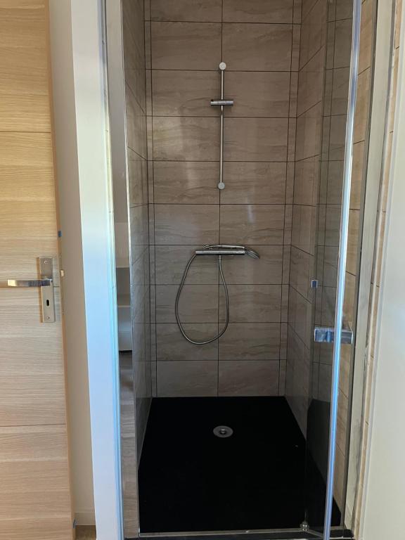 a shower with a glass door in a bathroom at Le Sailhet, maison de vacances in Pierrefitte-Nestalas