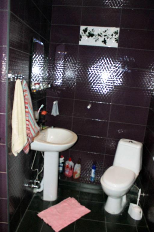 Koupelna v ubytování Guesthouse Dariali