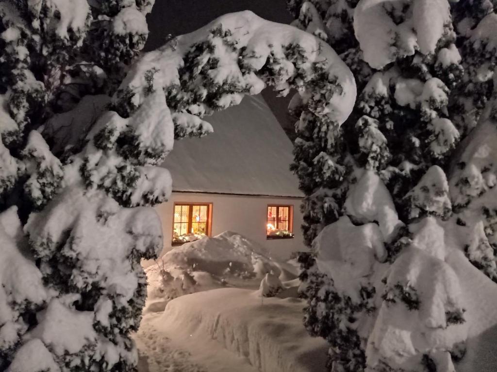 una casa cubierta de nieve frente a un árbol en Ferienwohnung Ulbrich, en Schellerhau