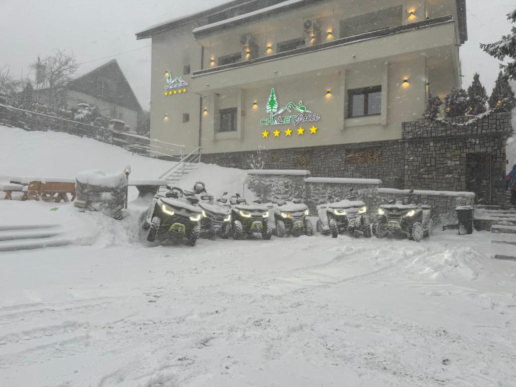 Chalet jolie Luxury Vila Sinaia - 预算双人间 - 一楼