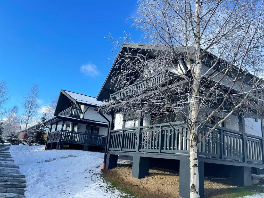 una casa con un árbol delante de ella en Horizon Apartmens, en Yablunytsya