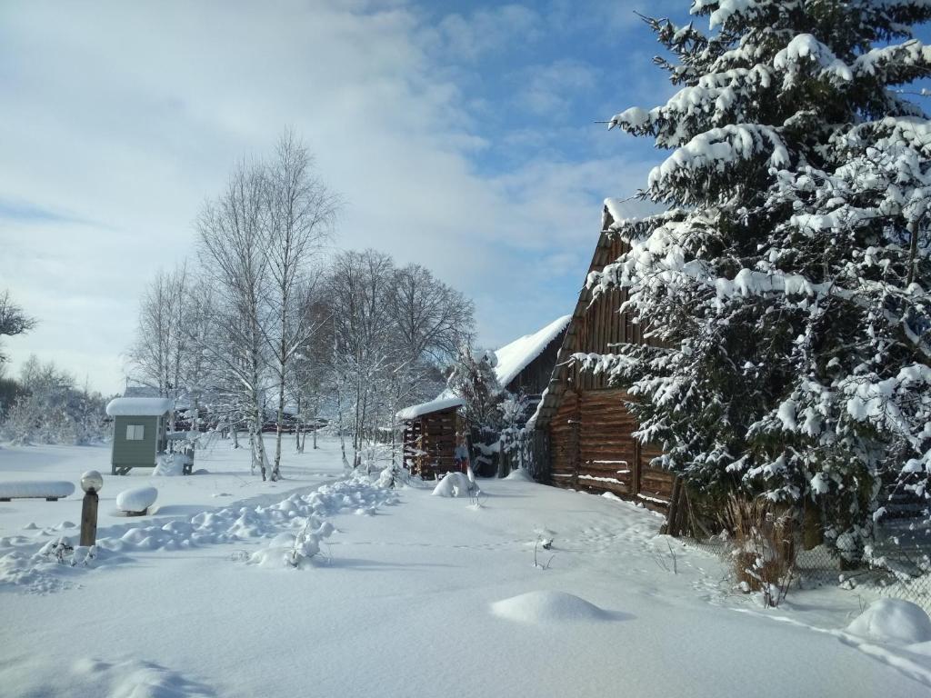 Cabaña cubierta de nieve con un árbol cubierto de nieve en Jałówka - odpocznij na Podlasiu, en Jałówka