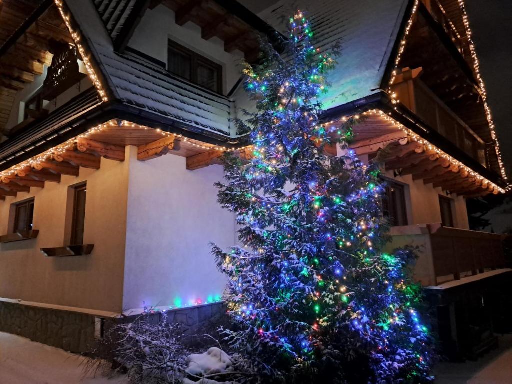 Un árbol de Navidad delante de una casa en Willa Wisienka en Zakopane