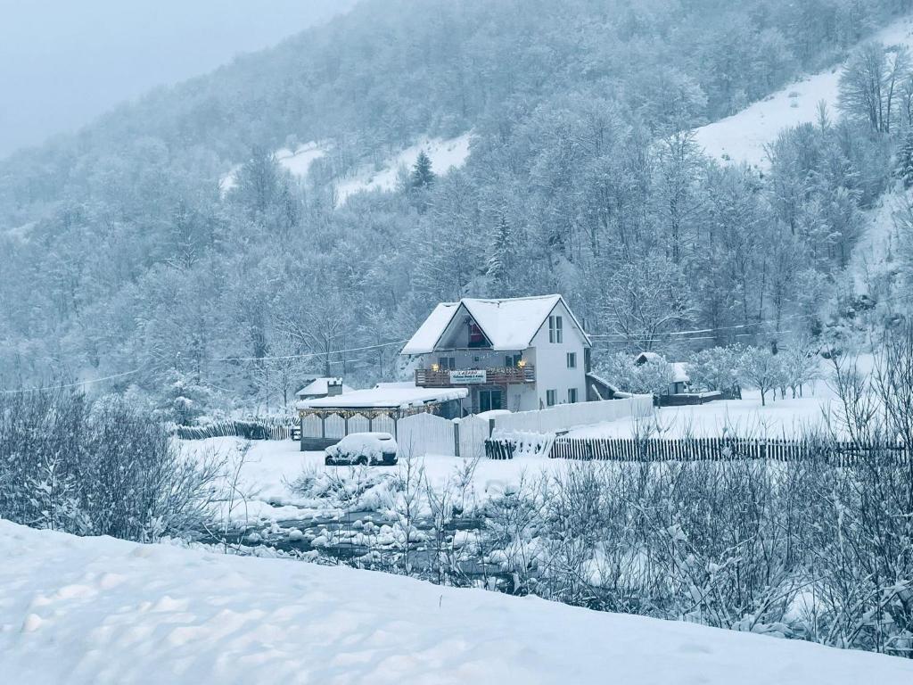 a house covered in snow in front of a mountain at Cabana Denis & Kevin in Petrila