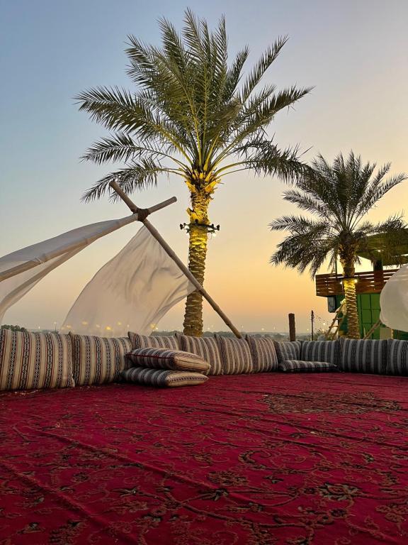 a tent and palm trees on a red carpet at Dubaicanam Camp in Dubai
