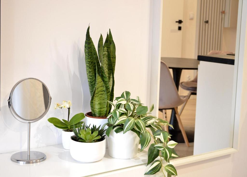 Private parking, secure building - Central apartments Old Town & Main Station - 3