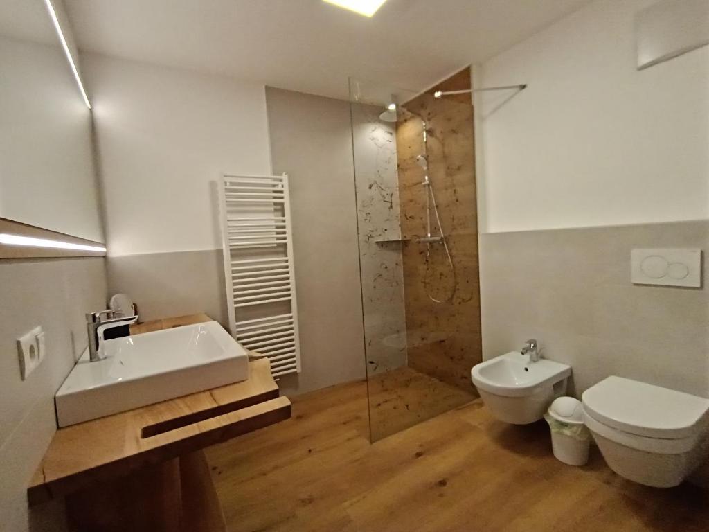 uma casa de banho com um lavatório, um WC e um chuveiro em Apartment 4 em Prato alla Drava