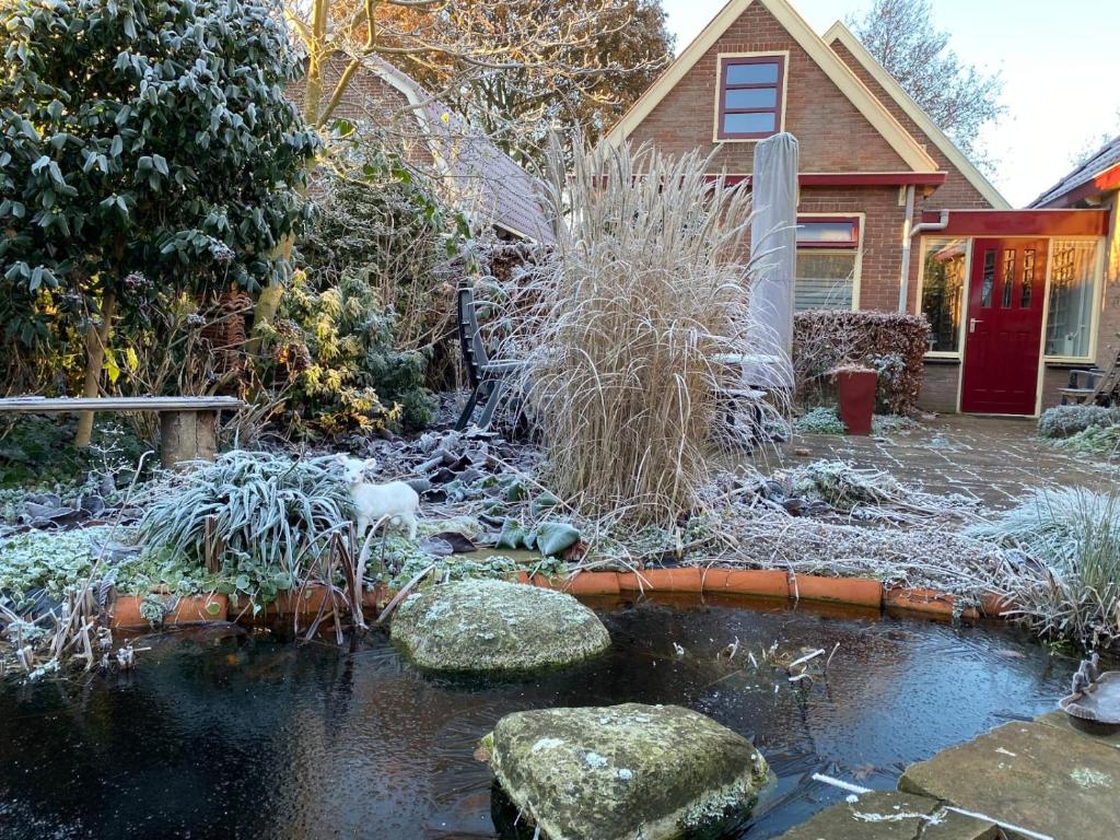 un jardín con un estanque frente a una casa en Tuinkamer Oudeschoot, en Oudeschoot