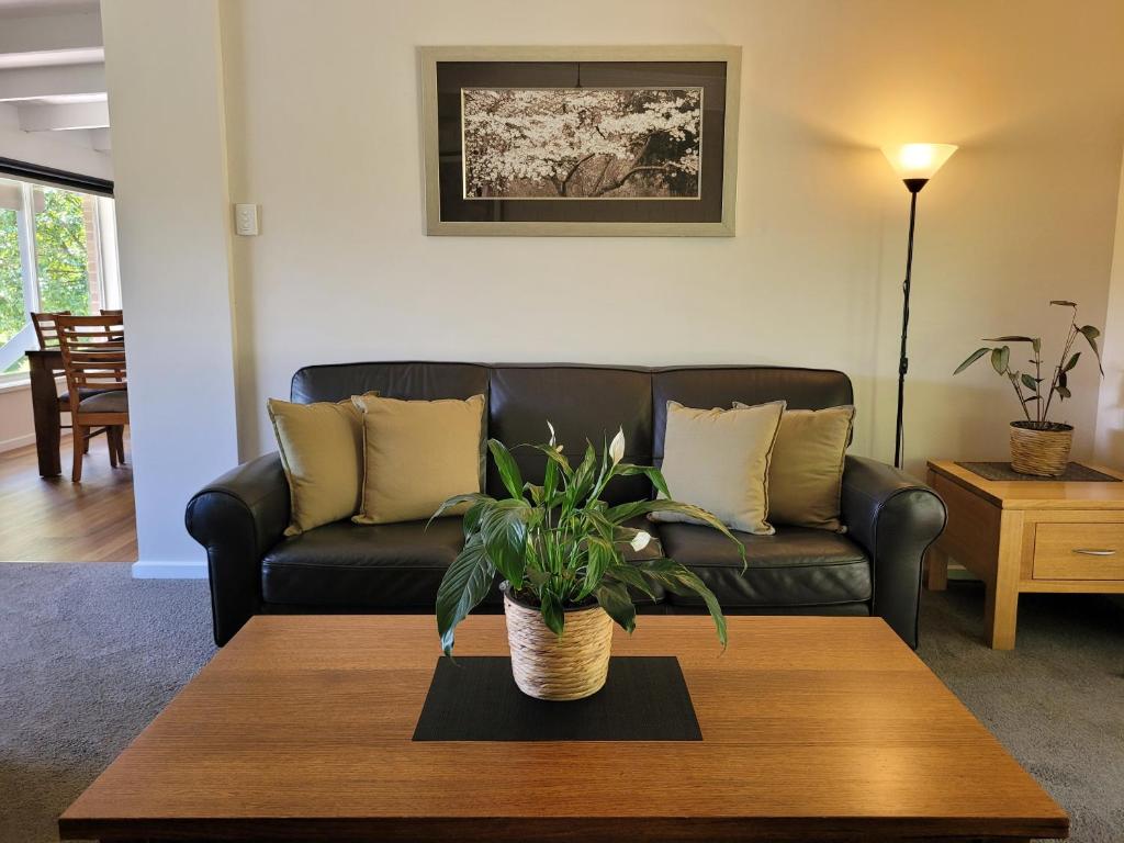 a living room with a couch and a coffee table at Healesville Schofield Cottage in Healesville
